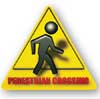 3d ped crossing_100